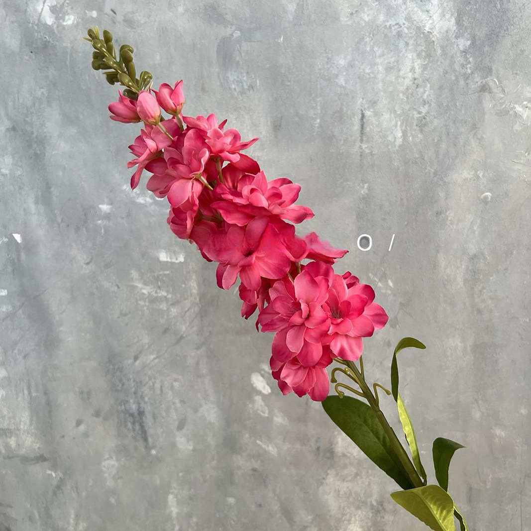 싱글 플라잉 제비-로즈 레드