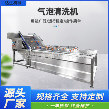 果蔬气泡清洗机 高压喷淋枇杷芒果大枣橘子清洗设备 去泥沙洗菜机