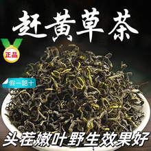 四川古蔺赶黄草中药材非野生乌蒙山女士男士肝茶供货代发批发茶叶