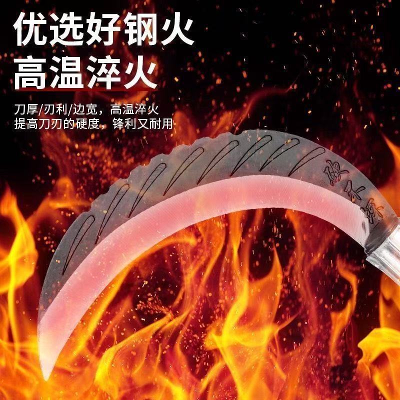 微信图片_202504141639262.jpg