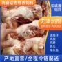 冷冻新鲜肉食动物