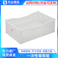 方形白色一次性葡萄筐 塑料中转筐水果葡萄采摘框冷藏塑胶周转筐
