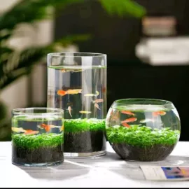 密封盒储物罐;玻璃杯;茶杯