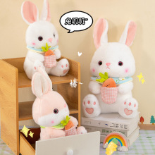 �¿���}��С����ë�q���ץ��������ë�q��ż���Ѓ�ͯ���նY��