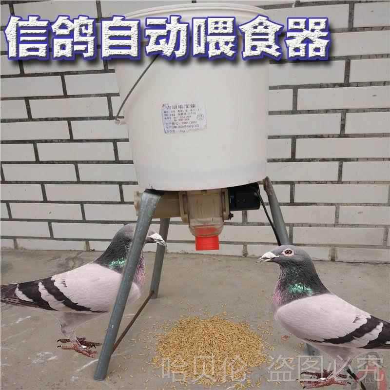 设备鸡鸭投料机喂食投机鸡养殖远程鸽子自动全自动喂鸡定时