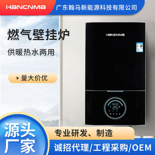 Wall-Mounted Boiler Natural Gas Wall-Mounted Boiler Heating and Hot Water Dual-Purpose Household Heating Boiler Wholesale Gas Wall-Mounted Boiler