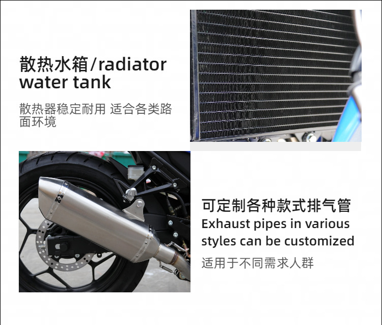 Customized Small Ninja Motorcycle Sports Car, Dual-Cylinder Water-Cooled 400Cc, National Iv Standard, Efi, Street Legal Motorcycle