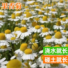 շNļ_ʾСrմ׾ջN̨ͥԺ׻