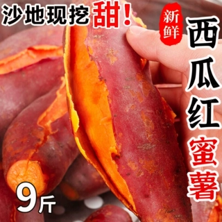 西瓜红蜜薯沙地农家自种新鲜现挖红皮薯板栗红薯流蜜产地直发9斤