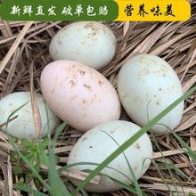 安徽新鮮鴨蛋青殼多省包郵農家散養土鴨蛋本生鴨蛋水生態麻鴨蛋