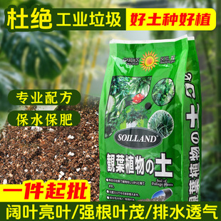 �^�~�G�~ֲ��àI�B���G�}���԰���ľ��������m��Ƥ�m�Nֲ����