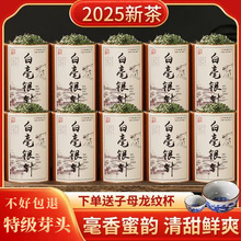 ��2026�²����С�Դ�^�S��ֱ�N:�ؼ������^��ѿ�^�׺��yᘺ�����