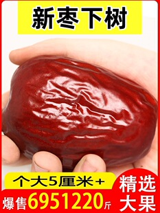 �½��t���������؛�خa�ش�t���ӟo�˶Y�иɹ���Ş��