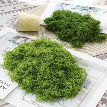 ����̦�\��Ƥ�����������̦΢���^���Ô[����ƺ�辰��������쾰