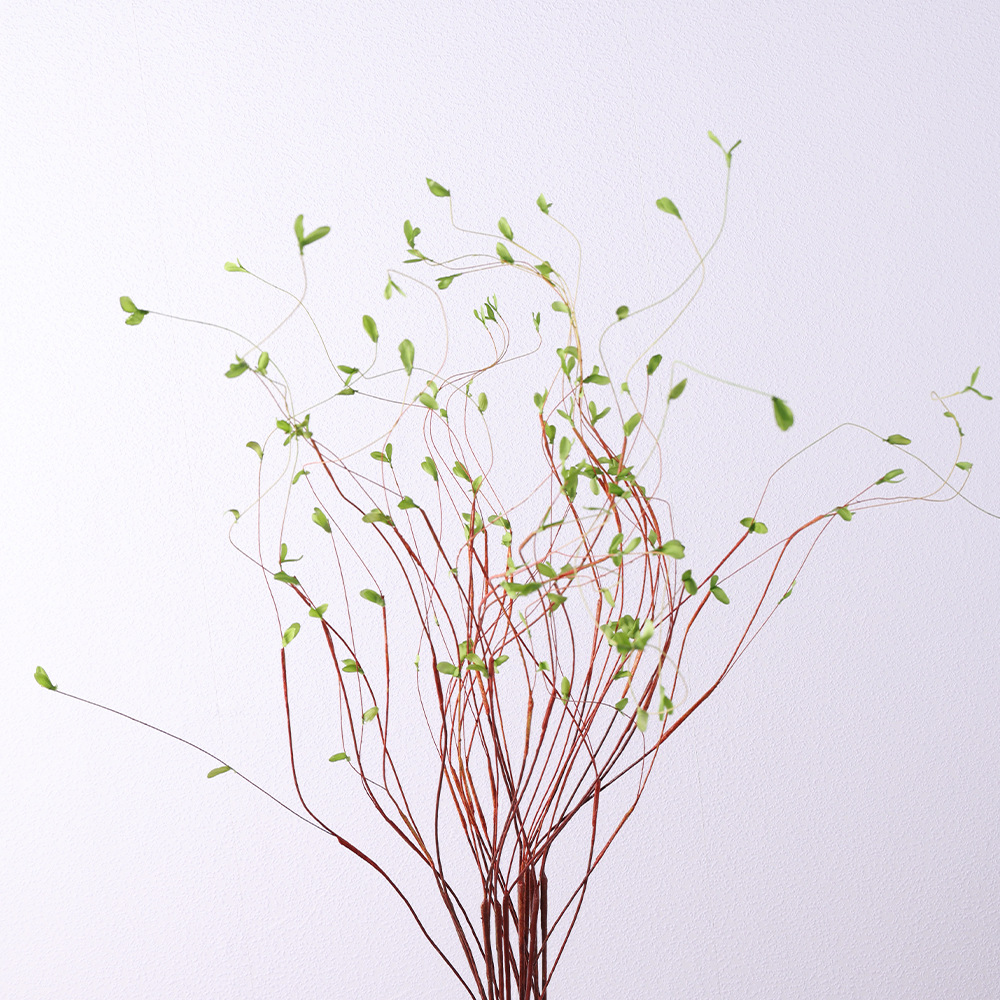 仿真绿植 垂柳 龙柳枝家居软装饰工程芽枝花艺配材柳芽柳枝假树叶