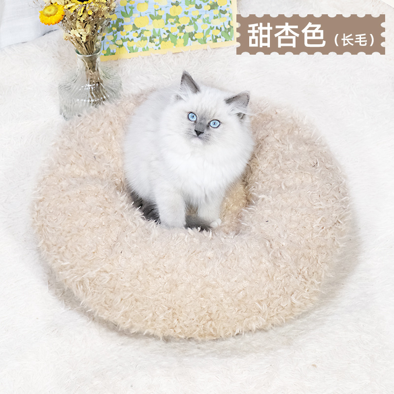 달콤한 살구색