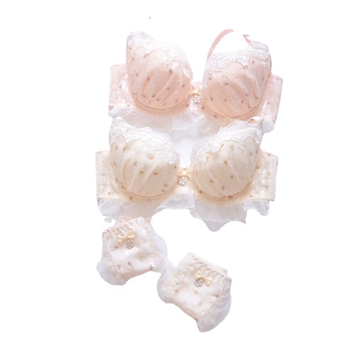 Long-term Japanese chiffon two-color embroidery thin cup student girl cute push-up sexy underwear bra set