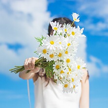 ins�LС�r�ռٻ��滨�b͏d�������ϻ���������С�����F�z