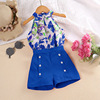 Summer summer clothing, top, shorts, set, children's clothing, European style, wholesale