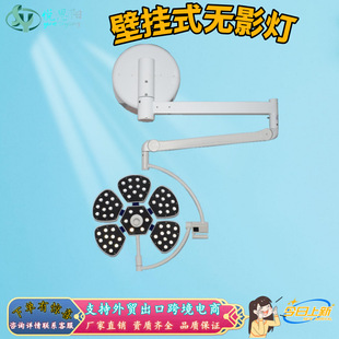 Single-Head Dental Implant Room Shadowless Lamp Wall-Mounted Mobile Shadowless Lamp Camera Shadowless Lamp Export Type