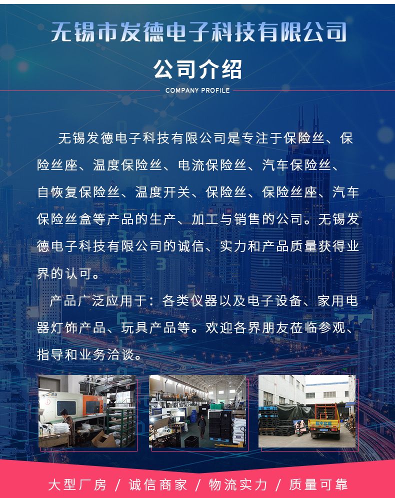 点烟器保险丝做详情页_18