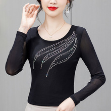 ~ӾWCLT2025¿rзbŮVС