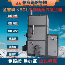 0.3t生物质蒸汽发生器现货供应豆制品加热蒸汽发生器价格图片