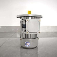 YE3系列三相异步电动机380v交流电立卧式电动机定制马达电机定做