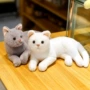 蓝猫儿童跨境生日玩偶