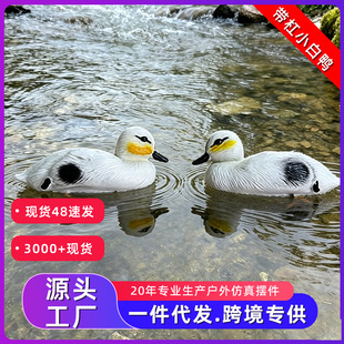 �羳����С������C�T�D�������Sֱ������������C���^�����m��