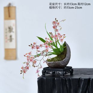 �����m�����m�������҃���������Gֲ��������ˮ�����m������B��