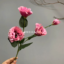 �߶��ᭇ�۹������滨�Ƶ�ins�L�Ҿӿ͏d�b[���ٻ����l