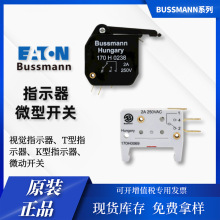 170H0069 bussmann�۔������ 5A 250V T/Kҕ�Xָʾ�� ΢���_�P