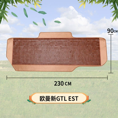 Large truck sleeper mahjong: Cool pad - auman-new-estnew-gtl