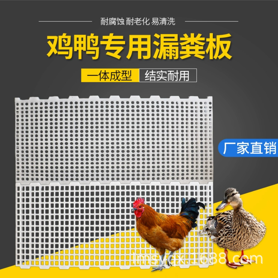 供应鸡漏粪板 兔漏粪板 鸭漏粪板 羊漏粪板 鹅漏粪板