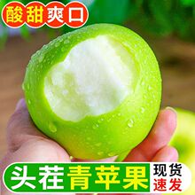 Orˮ3/5tĸʿƼЋD]