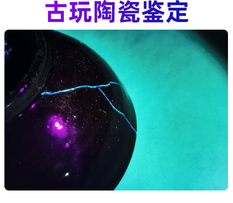 Uv Antique Banknote Detector Lamp Handheld Mini Purple Light Cat Moss Fluorescent Agent Bordeaux Solution Detection Rechargeable Flashlight