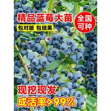 {ݮϱNֲ܇ӲݮشͥԺ̨ļˮ