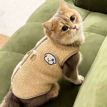 猫咪衣服秋冬可牵引防掉毛加绒保暖金渐层布偶猫蓝猫英短可爱绒衣