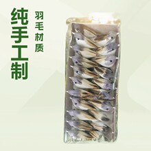 ��ë��ˇ�B�@���b��B�\������ֹ���������С�B�[����ɫ���x