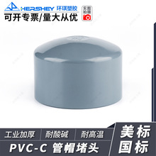 环琪CPVC管帽堵头闷盖管材配件阀门耐高温腐蚀国标DIN美规SCH80