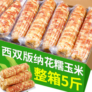 ������p��{��Ŵ�������r��Ŵ��Ŵ������ռ�ʳ������ʹּZ��ʳ