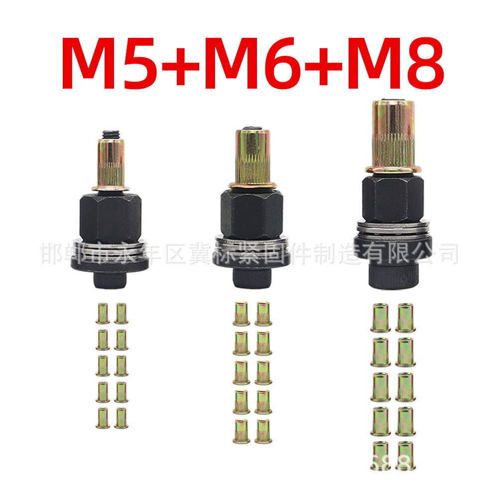 여성 풀 헤드(M5+M6+M8)+여성 30개
