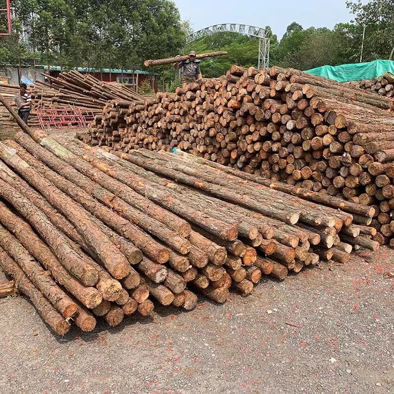 河道打桩木用于防洪堤护岸桥梁基础抗腐蚀耐用环保本地直发