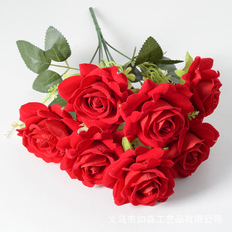 7 cabezas Aisha Rose