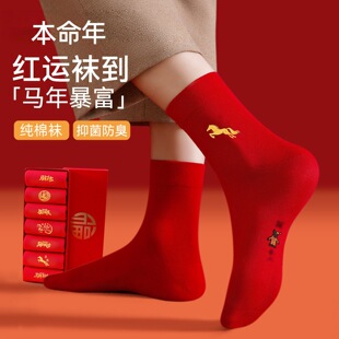 �t���m2026���걾����tɫ�m���R�곱�Y�ж�����Ͳ�t�m����Ů���l
