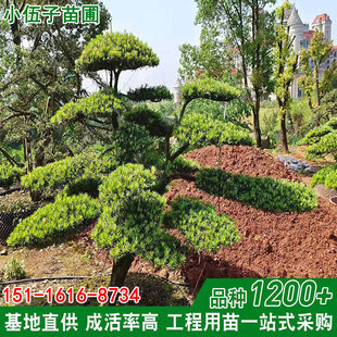 ���l�_�h�����͘�@�ֹ��̾G����ƷͥԺ15��20���ֺ��ϻ���ֱ�N