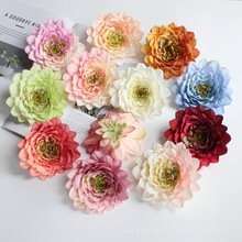 滨^ cb DIYֹñbol