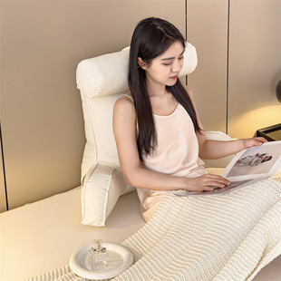2024 New Pp Cotton Casual Accessible Luxury Cat Claw Leather Cushion Pillow-Monica 75*40*55 Monica-Piano