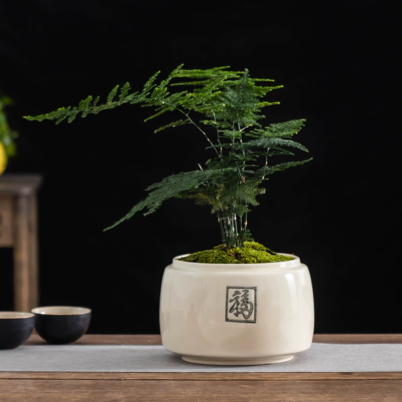 Простой бамбуковый цветочный горшок керамический благословение круглый рот